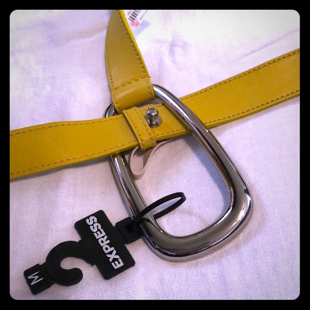 Belt